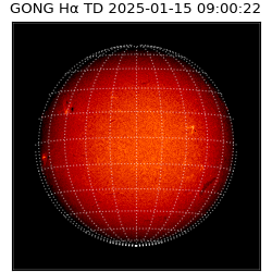 gong - 2025-01-15T09:00:22