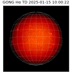 gong - 2025-01-15T10:00:22