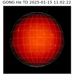 gong - 2025-01-15T11:02:22