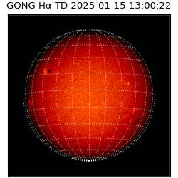 gong - 2025-01-15T13:00:22