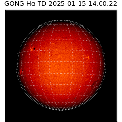 gong - 2025-01-15T14:00:22