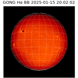 gong - 2025-01-15T20:02:02