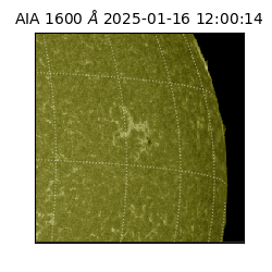 saia - 2025-01-16T12:00:14.126000