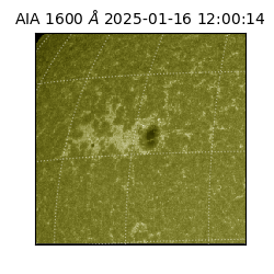 saia - 2025-01-16T12:00:14.126000