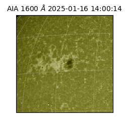 saia - 2025-01-16T14:00:14.126000