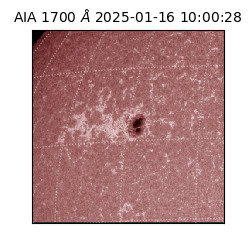 saia - 2025-01-16T10:00:28.719000