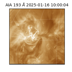 saia - 2025-01-16T10:00:04.843000