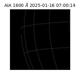 saia - 2025-01-16T07:00:14.125000