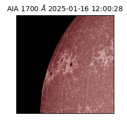 saia - 2025-01-16T12:00:28.727000