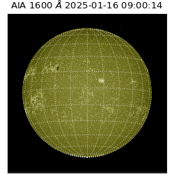 saia - 2025-01-16T09:00:14.129000