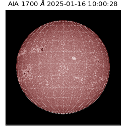 saia - 2025-01-16T10:00:28.719000