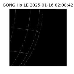 gong - 2025-01-16T02:08:42