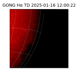 gong - 2025-01-16T12:00:22