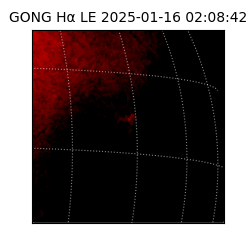 gong - 2025-01-16T02:08:42