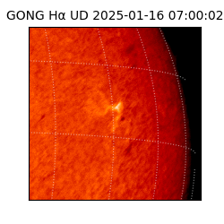 gong - 2025-01-16T07:00:02