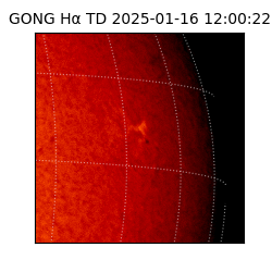 gong - 2025-01-16T12:00:22