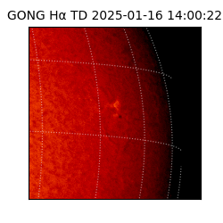 gong - 2025-01-16T14:00:22