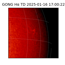 gong - 2025-01-16T17:00:22