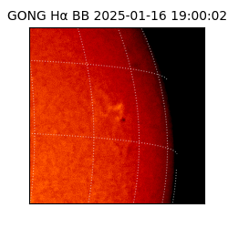 gong - 2025-01-16T19:00:02