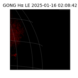 gong - 2025-01-16T02:08:42