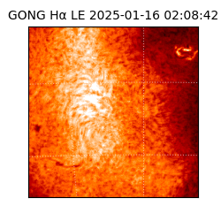 gong - 2025-01-16T02:08:42