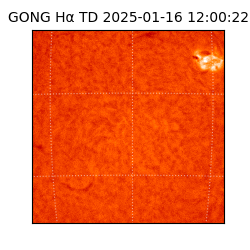 gong - 2025-01-16T12:00:22