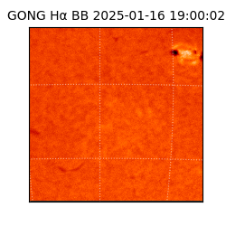 gong - 2025-01-16T19:00:02