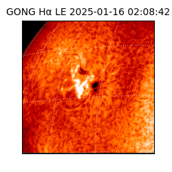 gong - 2025-01-16T02:08:42