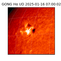 gong - 2025-01-16T07:00:02