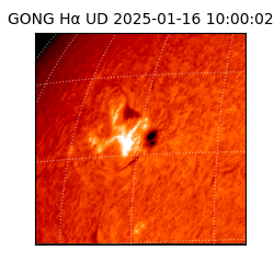 gong - 2025-01-16T10:00:02