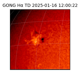 gong - 2025-01-16T12:00:22