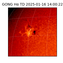 gong - 2025-01-16T14:00:22