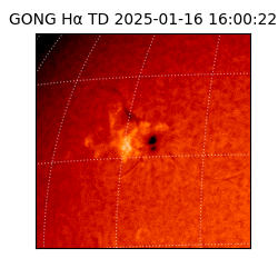 gong - 2025-01-16T16:00:22