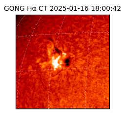 gong - 2025-01-16T18:00:42