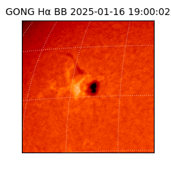 gong - 2025-01-16T19:00:02