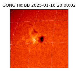 gong - 2025-01-16T20:00:02