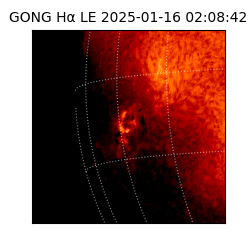 gong - 2025-01-16T02:08:42