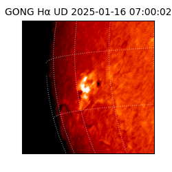 gong - 2025-01-16T07:00:02