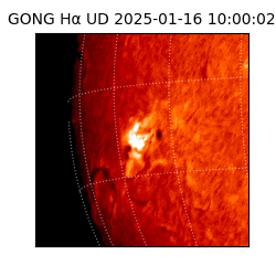gong - 2025-01-16T10:00:02