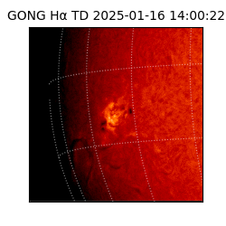 gong - 2025-01-16T14:00:22