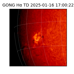 gong - 2025-01-16T17:00:22