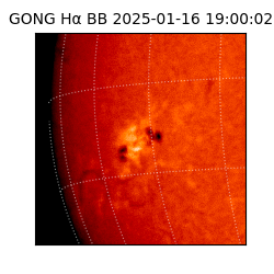 gong - 2025-01-16T19:00:02