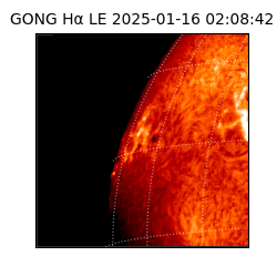 gong - 2025-01-16T02:08:42