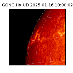 gong - 2025-01-16T10:00:02