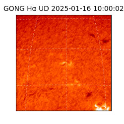 gong - 2025-01-16T10:00:02