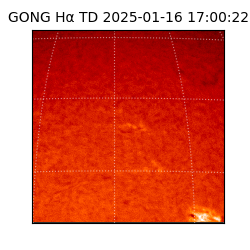 gong - 2025-01-16T17:00:22