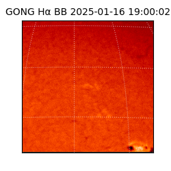 gong - 2025-01-16T19:00:02