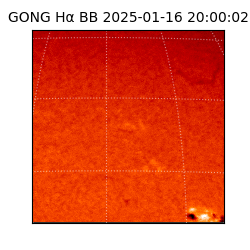 gong - 2025-01-16T20:00:02