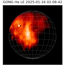 gong - 2025-01-16T02:08:42