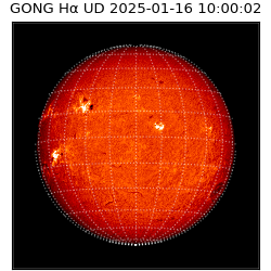 gong - 2025-01-16T10:00:02